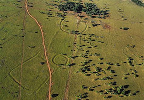  「黄金の太陽」：古代ブラジルの神秘的な光と影！